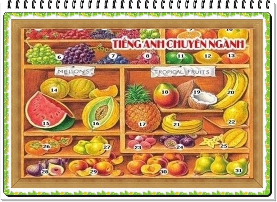 tieng-anhHNA