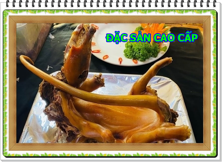 BIADACSAN